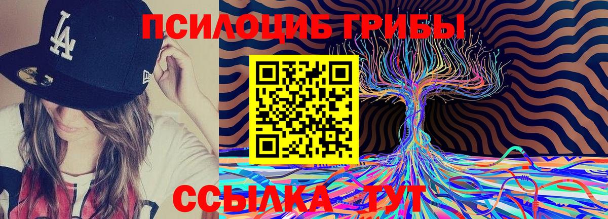 Псилоцибиновые грибы Psilocybe  Псилоцибиновые грибы мицелий  Вход с VPN  Моздок 